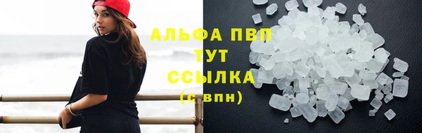 сатива Алзамай